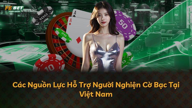 Các Nguồn Lực Hỗ Trợ Người Nghiện Cờ Bạc Tại Việt Nam