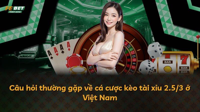 Câu hỏi thường gặp về cá cược kèo tài xỉu 2.5/3 ở Việt Nam