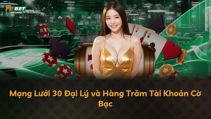 Mạng Lưới 30 Đại Lý và Hàng Trăm Tài Khoản Cờ Bạc