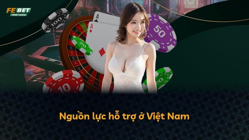 Nguồn lực hỗ trợ ở Việt Nam