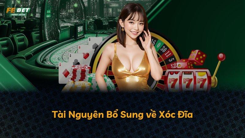 Tài Nguyên Bổ Sung về Xóc Đĩa