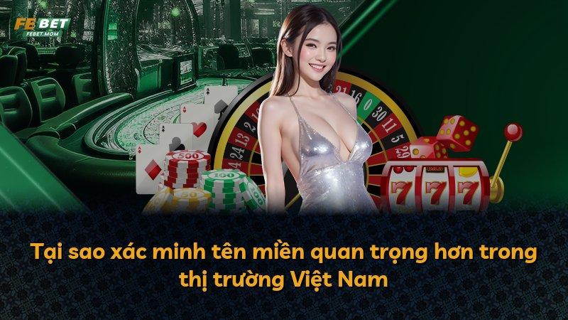Tại sao xác minh tên miền quan trọng hơn trong thị trường Việt Nam