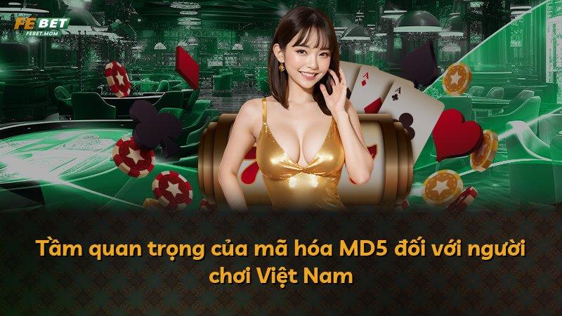 Tầm quan trọng của mã hóa MD5 đối với người chơi Việt Nam