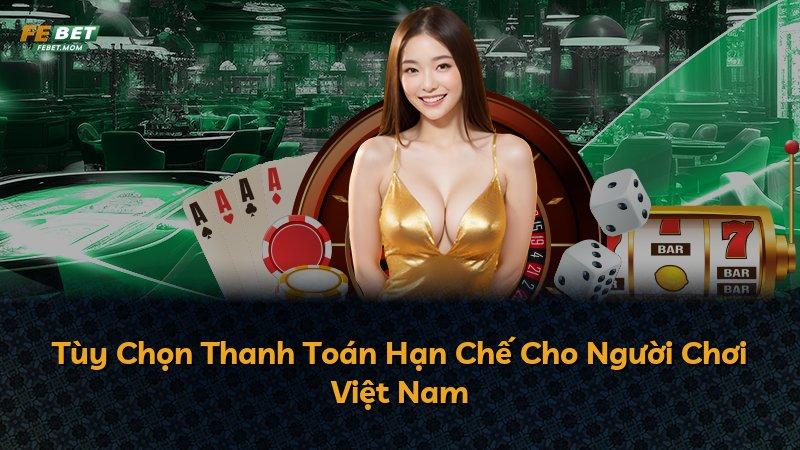 Tùy Chọn Thanh Toán Hạn Chế Cho Người Chơi Việt Nam